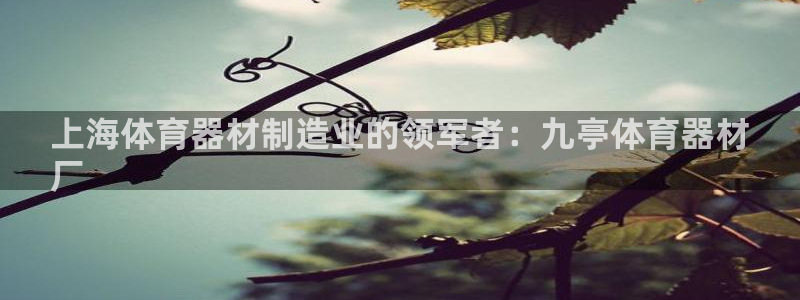 富联平台娱乐：上海体育器材制造业的领军者：九亭体育器