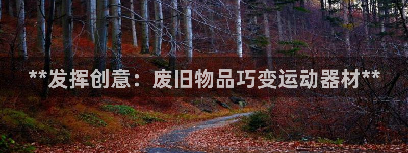 富联集团做什么的：**发挥创意：废旧物品巧变运动器材