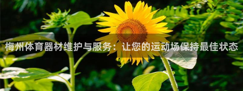 富联是什么：梅州体育器材维护与服务：让您的运动场保持