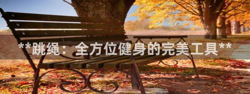 富联地产怎么样：**跳绳：全方位健身的完美工具**