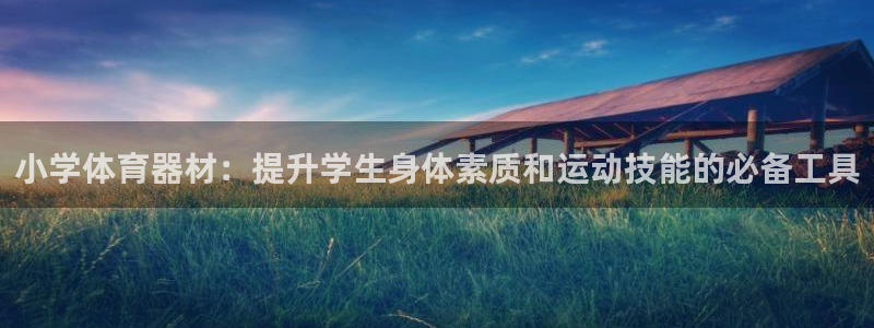 富联娱乐会员多少钱：小学体育器材：提升学生身体素质和