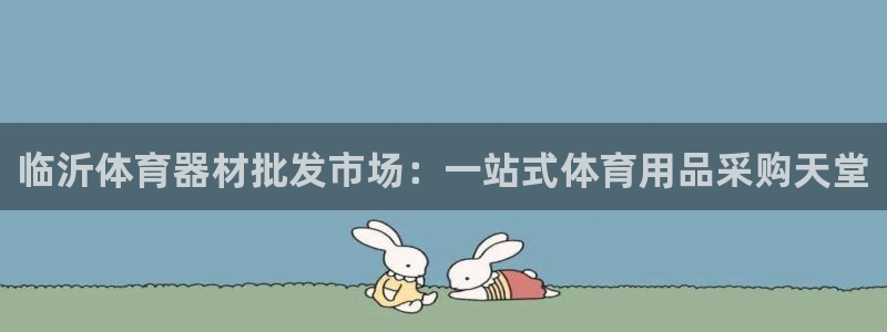 富联芯科技：临沂体育器材批发市场：一站式体育用品采购
