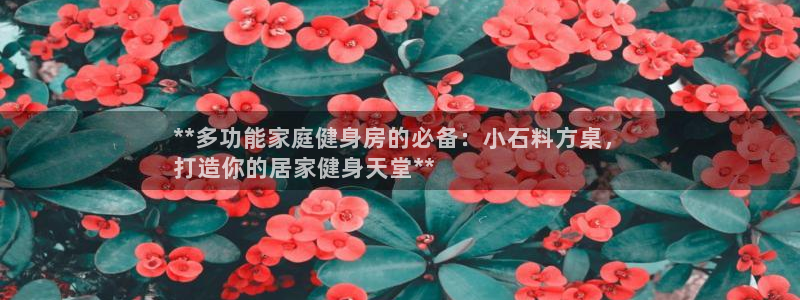 富联官方网站入口：**多功能家庭健身房的必备：小石料