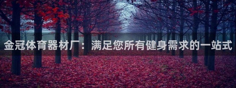 富联官网注册：金冠体育器材厂：满足您所有健身需求的一