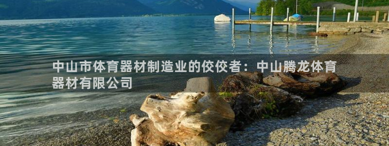 富联娱乐玩法机制介绍：中山市体育器材制造业的佼佼者：