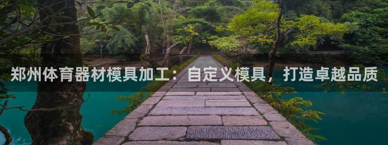 富联官方网站入口下载安卓：郑州体育器材模具加工：自定