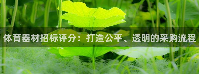 富联娱乐测速登录不了：体育器材招标评分：打造公平、透