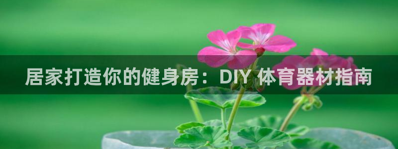 富联平台总代理是谁：居家打造你的健身房：DIY 体育