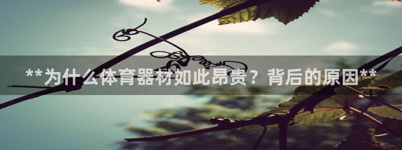 富联娱乐合作 58534I 娱乐：**为什么体育器材