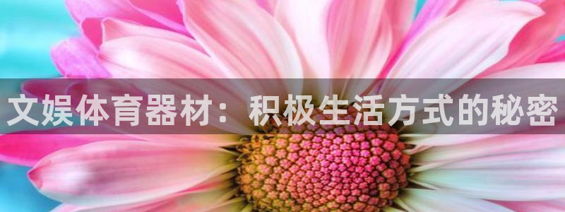 富联平台推 411031 富联：文娱体育器材：积极生