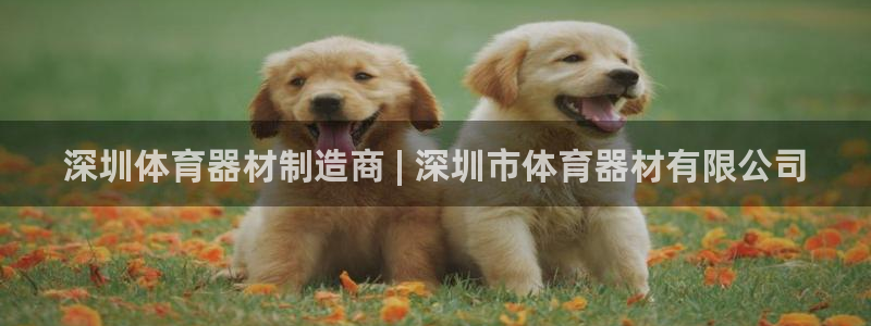 富联股份股票代码：深圳体育器材制造商 | 深圳市体育
