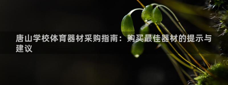 富联娱乐合作 58534I 娱乐：唐山学校体育器材采