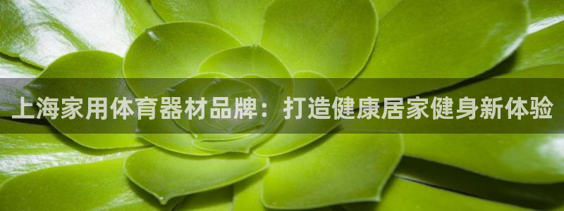 富联科技上市了吗：上海家用体育器材品牌：打造健康居家