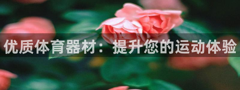 富联平台娱乐：优质体育器材：提升您的运动体验