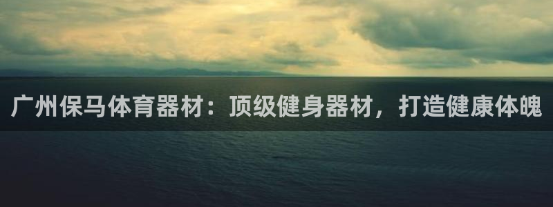 富联申购上市价格预测最新：广州保马体育器材：顶级健身