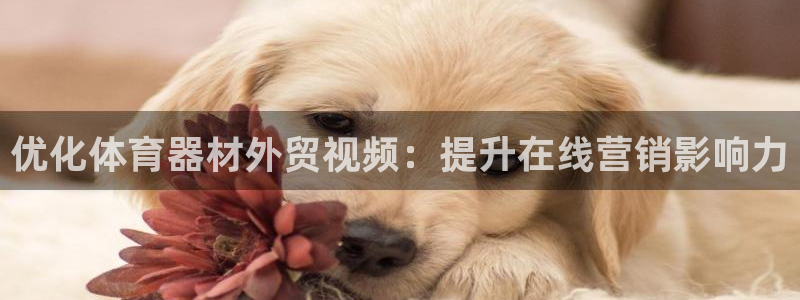 富联平台用户登陆不上：优化体育器材外贸视频：提升在线
