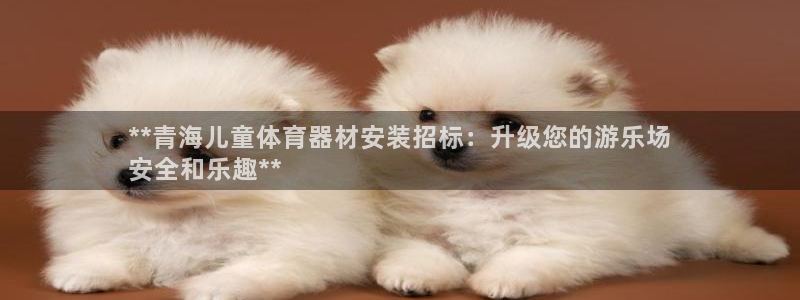 富联平台巴7O777：**青海儿童体育器材安装招标：