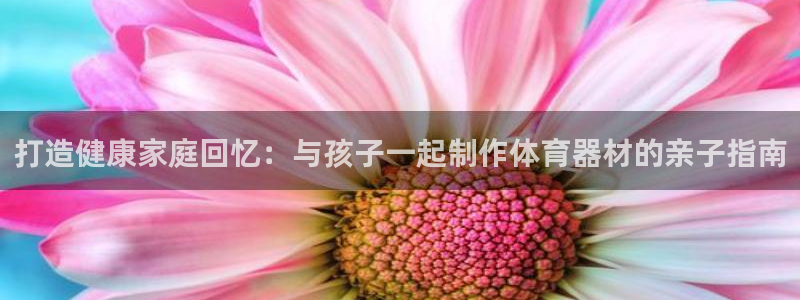 富联平台派7O777：打造健康家庭回忆：与孩子一起制