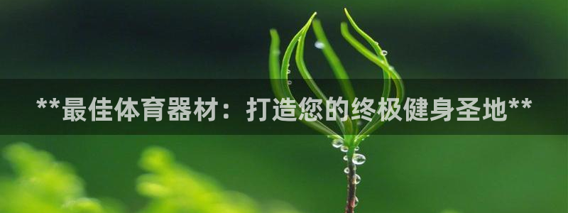 富联化工：**最佳体育器材：打造您的终极健身圣地**