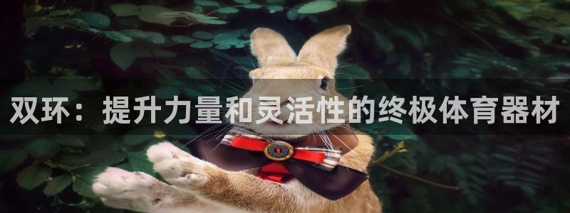 富联娱乐客户端app下载服务器异常：双环：提升力量和灵活性的