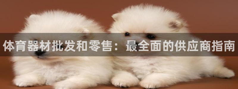 富联申购何时上市：体育器材批发和零售：最全面的供应商