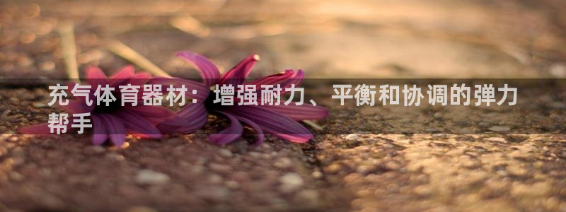 富联平台认 585341 富联：充气体育器材：增强耐