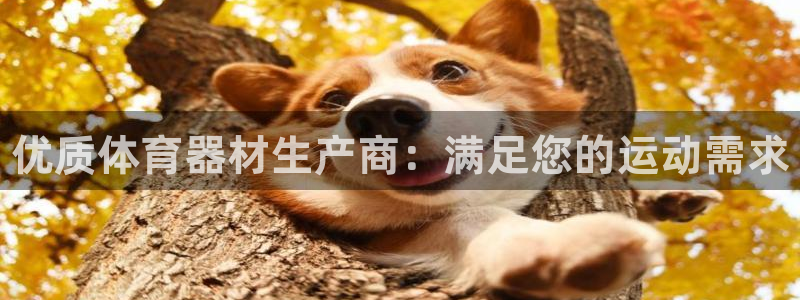 富联平台官网：优质体育器材生产商：满足您的运动需求