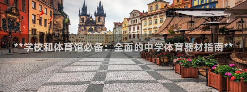 富联平台官网登录入口：**学校和体育馆必备：全面的中学体育器