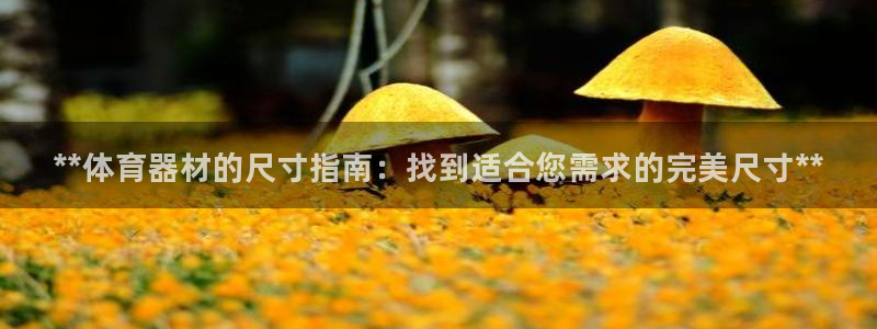 富联平台挂机怎么操作：**体育器材的尺寸指南：找到适合您需求