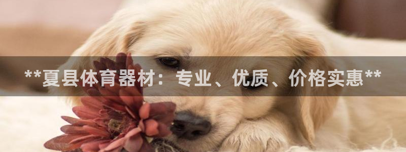 富联娱乐客服微信号是多少：**夏县体育器材：专业、优质、价格