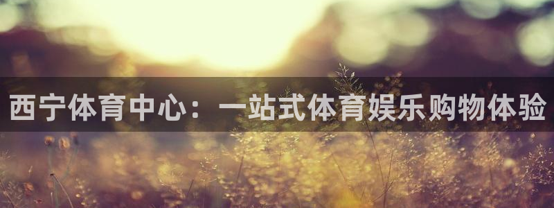 富联娱乐客户端app下载服务器错误：西宁体育中心：一站式体育