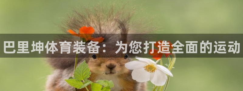 富联集团最新消息今天:巴里坤体育装备:为您打造全面的运动