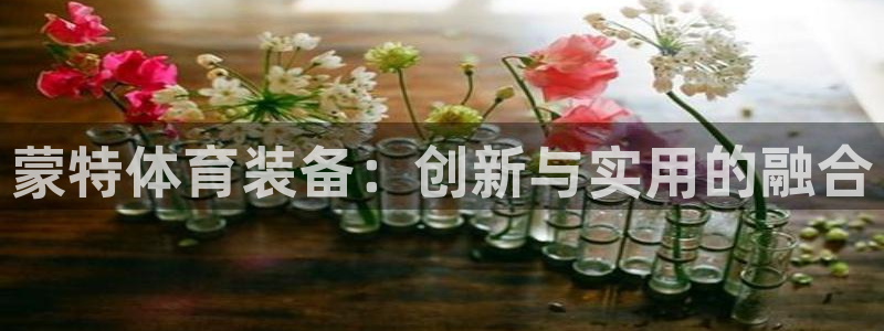 富联平台可以 5O6917：蒙特体育装备：创新与实用的融合